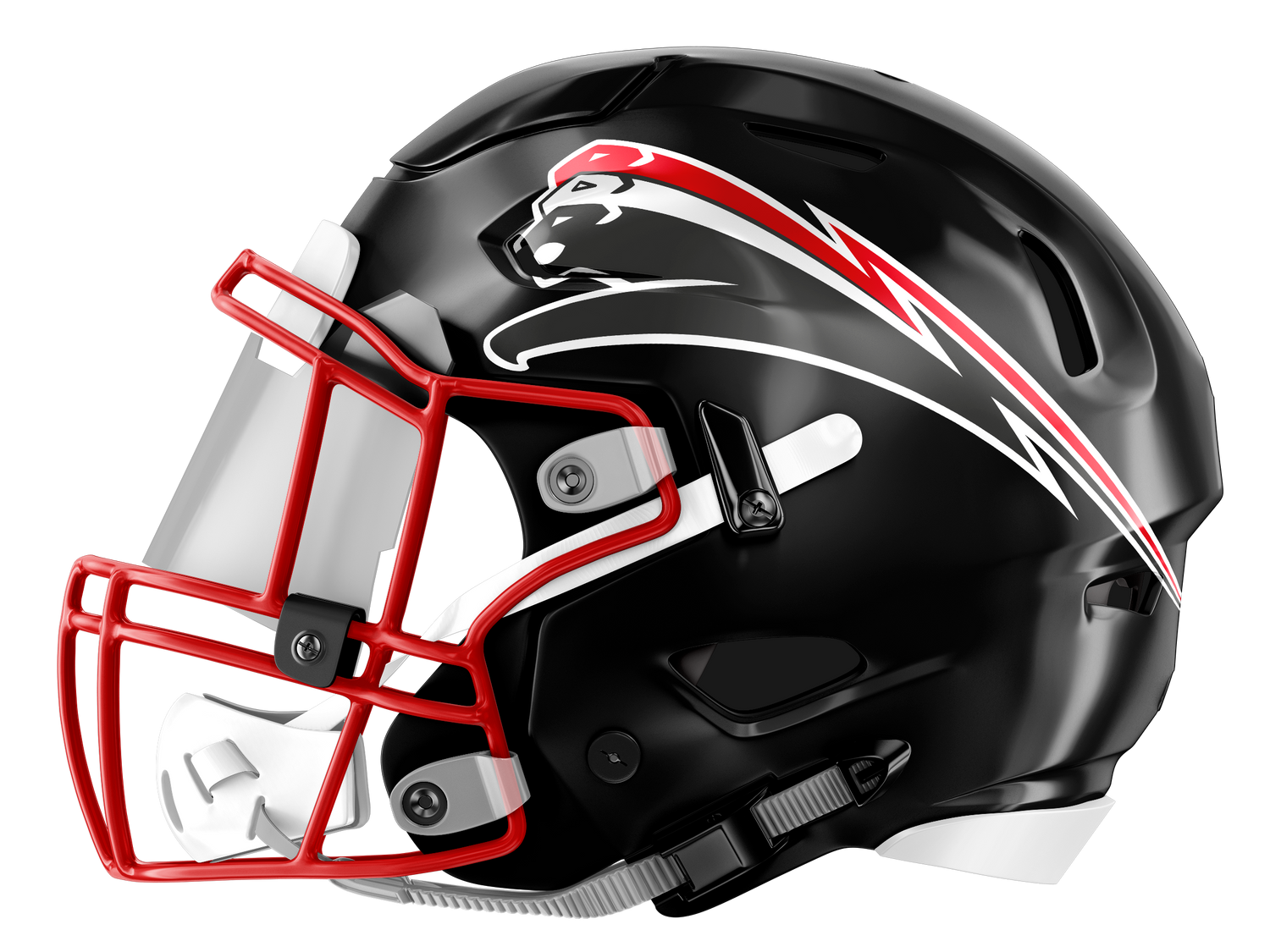 Düsseldorf Panther